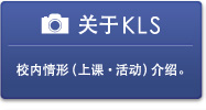 关于KLS